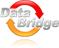Databridge (Дэйтабридж)