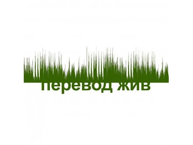 Дмитрий Бузаджи и Александр Шеин: авторы канала «Перевод жив» о профессии устных переводчиков